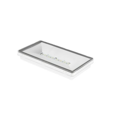 ONTEC S M2 102 M AT COLD W BIAŁY OPRAWA AWARYJNA LED 4.7W 1H IP65 IK08 241LM