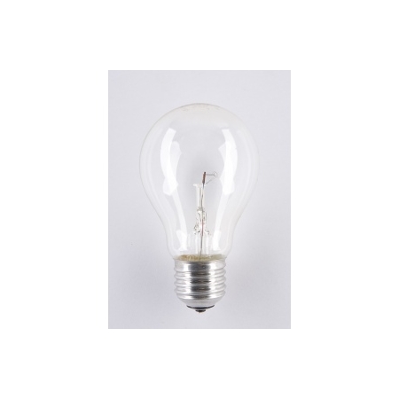 NN/GLS ŻARÓWKA BULB NISKONAPIĘCIOWA 100W E27 24V PRZEZROCZYSTA WW 2700K 1820LM A55 NIS-0025