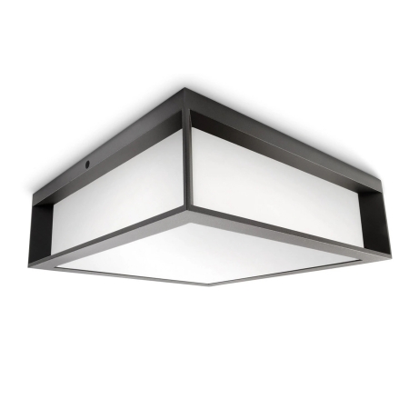 SKIES ANTRACYT OPRAWA SUFITOWO-ŚCIENNA ELEWACYJNA 2X E27/ 42W IP44 ALUMINIUM/ TWORZYWO