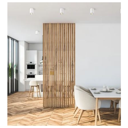 RONDOO BIAŁY OPRAWA SUFITOWA NT SPOT 1X GU10/ 50W IP20 METAL