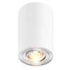 RONDOO BIAŁY OPRAWA SUFITOWA NT SPOT 1X GU10/ 50W IP20 METAL