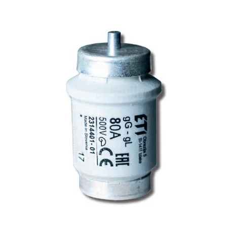 BIWTS DIV DZ GF WKŁADKA TOPIKOWA SZYBKA 100A R1 1/4 500V