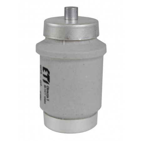 BIWTS DIV DZ GF WKŁADKA TOPIKOWA SZYBKA 100A R1 1/4 500V