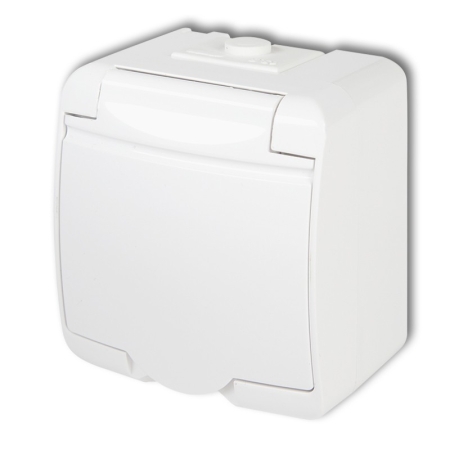 JUNIOR BIAŁY GNIAZDO NT 1X Z/U Z KLAPKĄ BIAŁĄ IP54 ZACISKI ŚRUBOWE 16A 250V