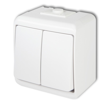 JUNIOR BIAŁY ŁĄCZNIK NT SERYJNY 2X IP54 ZACISKI ŚRUBOWE 10AX 250V
