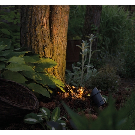 BUSH GRAFITOWY OPRAWA GRUNTOWA REFLEKTOR 1X GU10/ 10W IP65 ALUMINIUM LAKIEROWANE/ SZKŁO