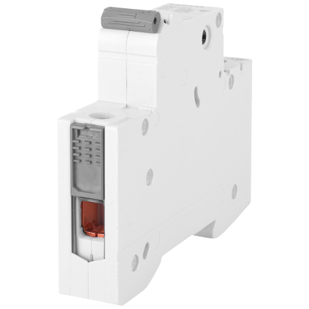5SL WYŁĄCZNIK NADPRĄDOWY C  4A 1P 1M 6KA