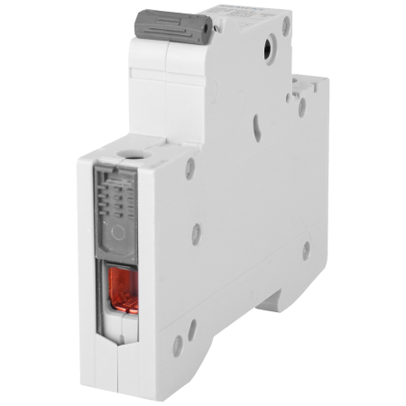 5SL WYŁĄCZNIK NADPRĄDOWY B  6A 1P 1M 6KA