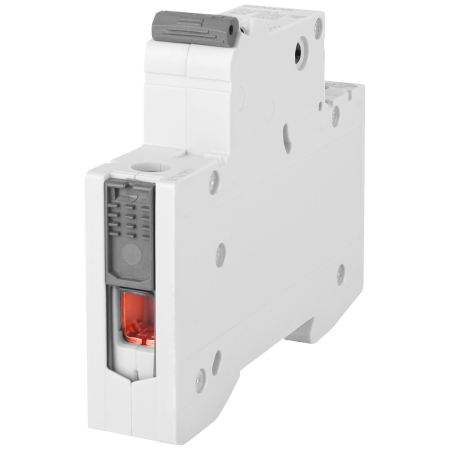 5SL WYŁĄCZNIK NADPRĄDOWY B 25A 1P 1M 6KA