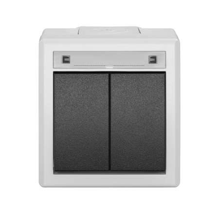 AQUANT 2K SZARY ŁĄCZNIK NT SERYJNY IP55 ZACISKI ŚRUBOWE 10AX 250V