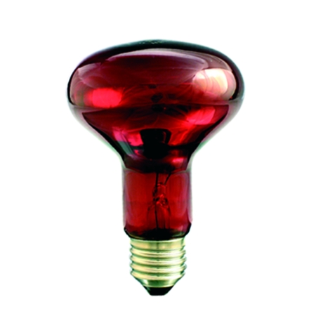 R80 ŻARÓWKA PROMIENNIK PODCZERWIENI IR1 KWOKA  75W E27 230V RUBIN SZKŁO MIĘKKIE
