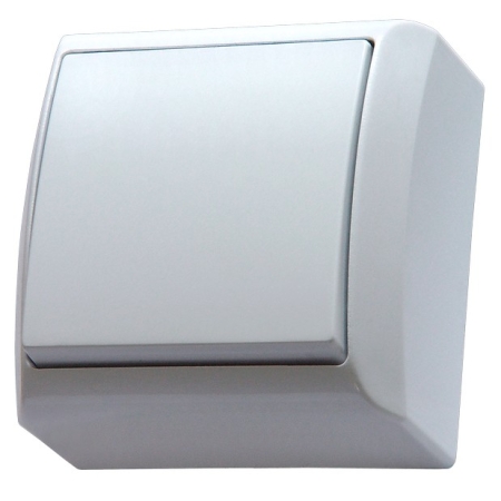 BIS BIAŁY ŁĄCZNIK NT 1-BIEGUNOWY IP20 ZACISKI SPRĘŻYNOWE 10AX 250V