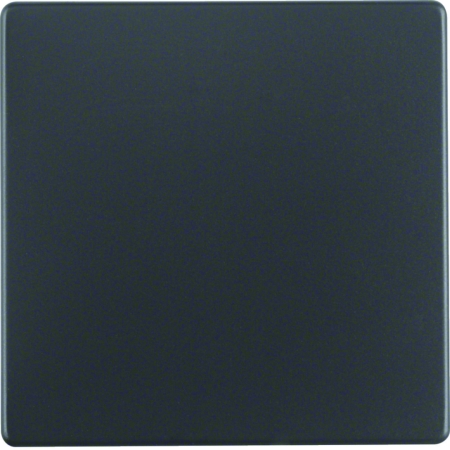 Q.1/Q.3 Klawisz do łącznika 1-klawiszowego, antracyt, aksamit